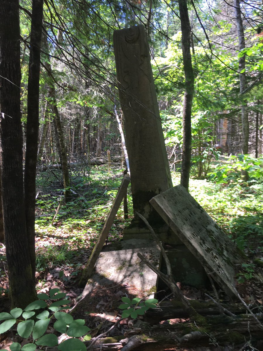 HeritageCharNB's tweet photo. Today we did a preliminary survey of a long abandoned cemetery in Oak Bay, Charlotte Co. NB #NBhist @CaCemeteryHist 1/3 https://t.co/5paqs0tcqM