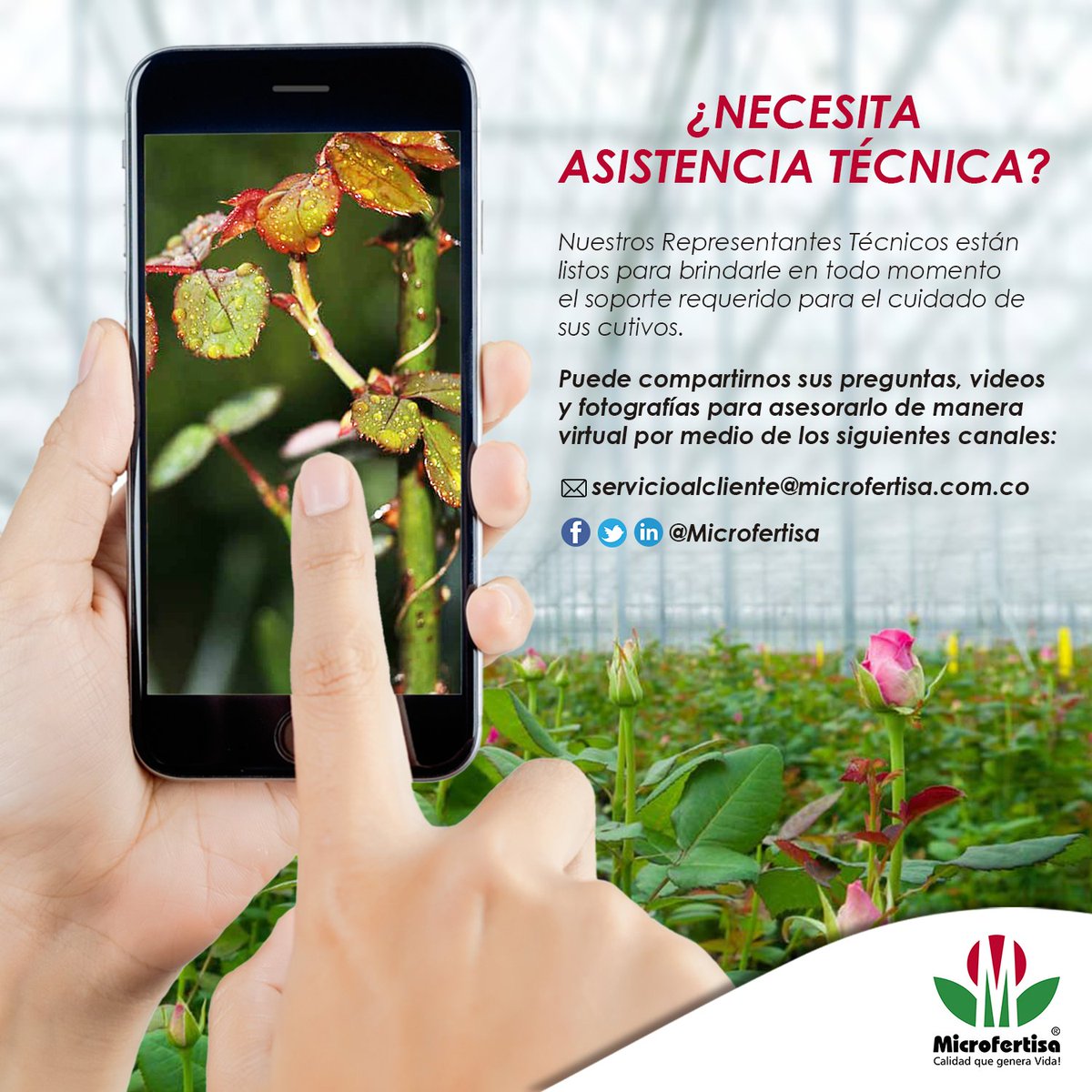 Microfertisa's tweet photo. ¿Necesitas asistencia técnica para mejorar la productividad y calidad de tus #Cultivos?
Compártenos por mensaje interno tus inquietudes. También puedes escribirnos a: servicioalcliente@microfertisa.com.co
#CalidadQueGeneraVida #Agro #Campo #FelizSabadoATodos https://t.co/WVECTbSfd4