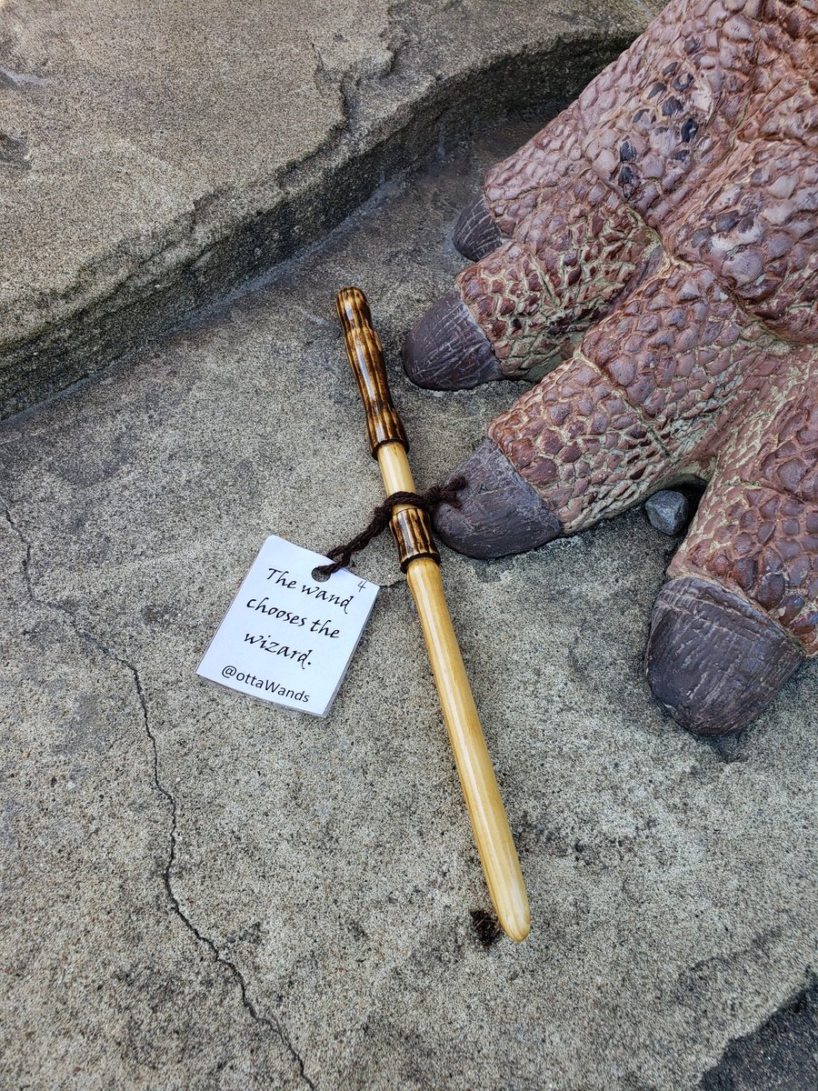 ottawands's tweet photo. A watchful mother is guarding this wand until it can find its rightful owner. #ottaWands #ottcity https://t.co/w1rsh5xiAZ