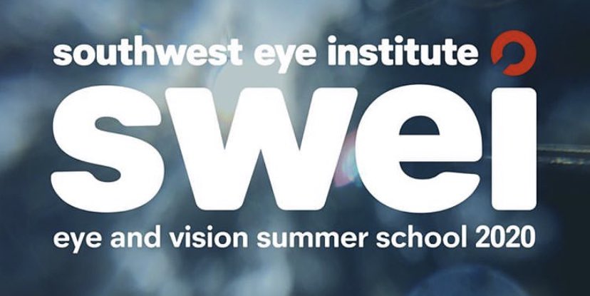 Eye care is changing, rapidly. Advances in technology now make it possible for many tests to be carried out in the living room – at the right time for the patient. Join us this summer and work on exciting research proposals to validate new clinicial tests and develop your skills!
