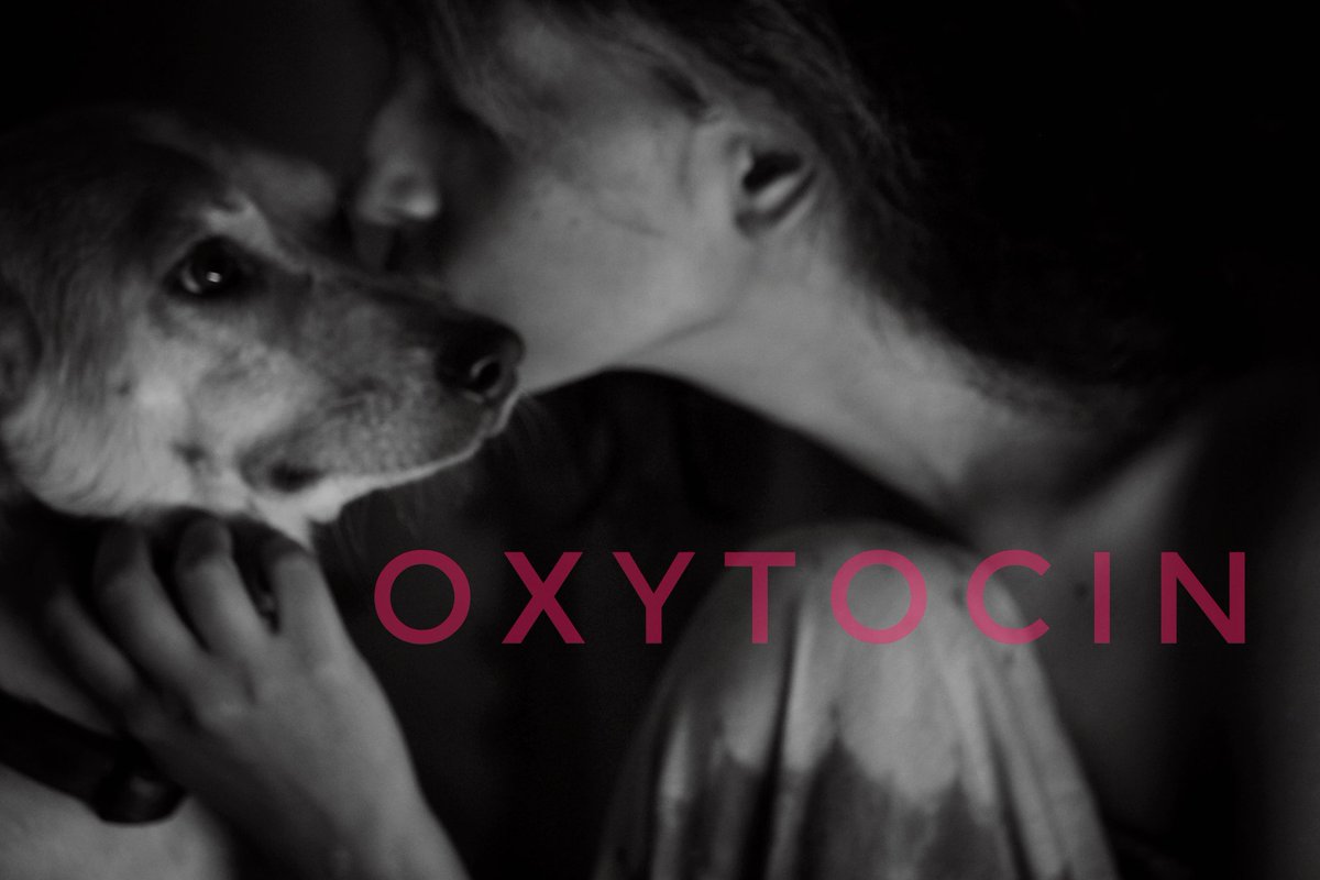 Arunita_13's tweet photo. OxytocinΒ is a hormone and neurotransmitter is called the 'love hormone' as its levels increase when showing affection and love.
#Science #sciencetwitter #dogsoftwitter #lovehormone #sciencechic #sciencedaily #scicomm #SaturdayThoughts #sciart https://t.co/fLyJw15vR6