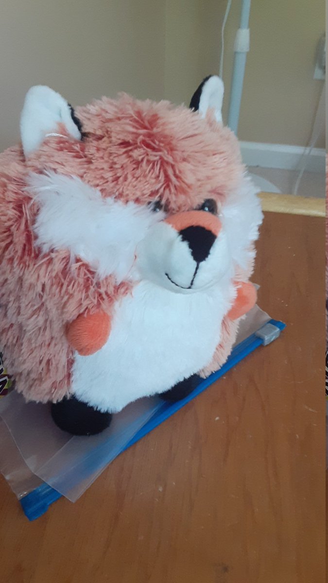 Bluethegamingfurry (@Bluethefox5) / Posts / X