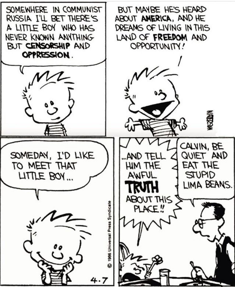 Happy 4th of July! 🇺🇸 #calvinandhobbes