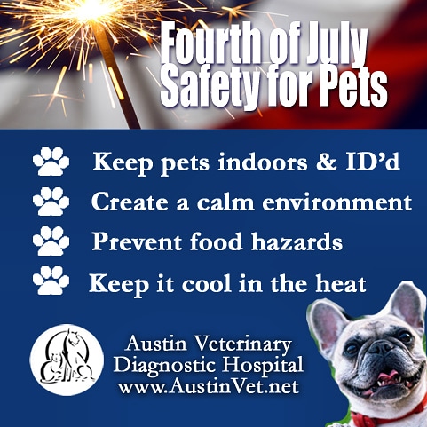 Austin_Vets's tweet photo. 🇺🇸 Have a Safe and Happy #4thofJuly2020! Take extra care of your pets on this special day - especially if you are in the heat or around fireworks. 🇺🇸 Happy Birthday, America! #GodBlessAmerica https://t.co/wUAXp9zllk