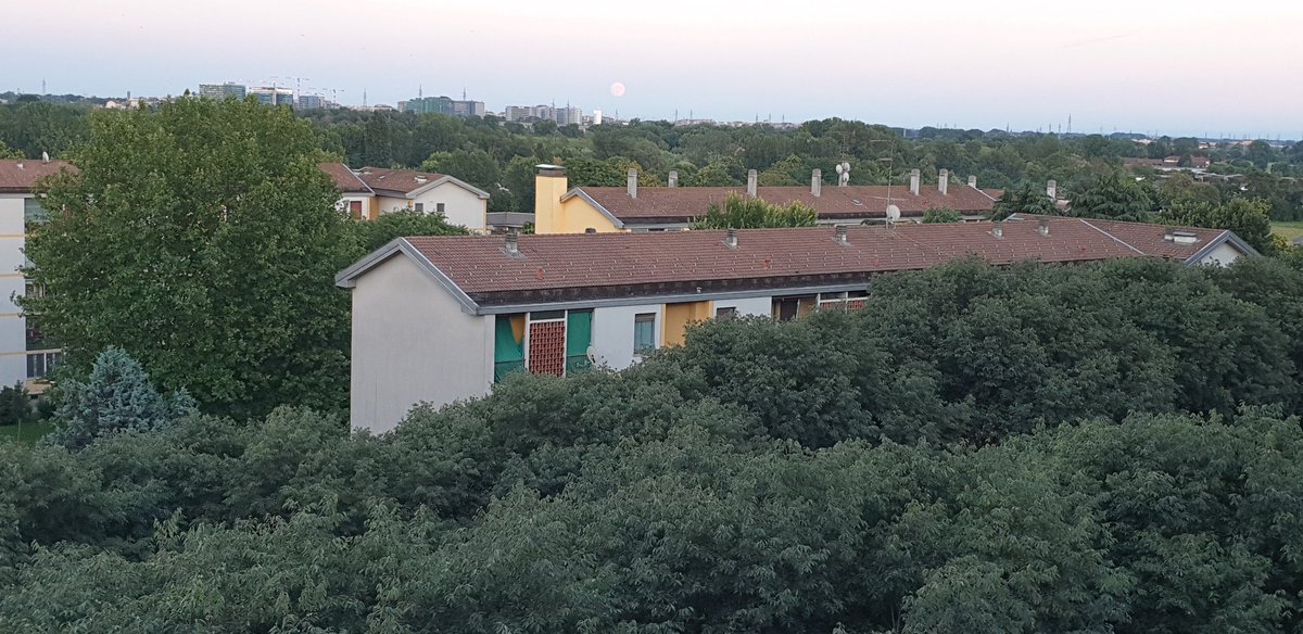 Antonio Palmieri tweet media