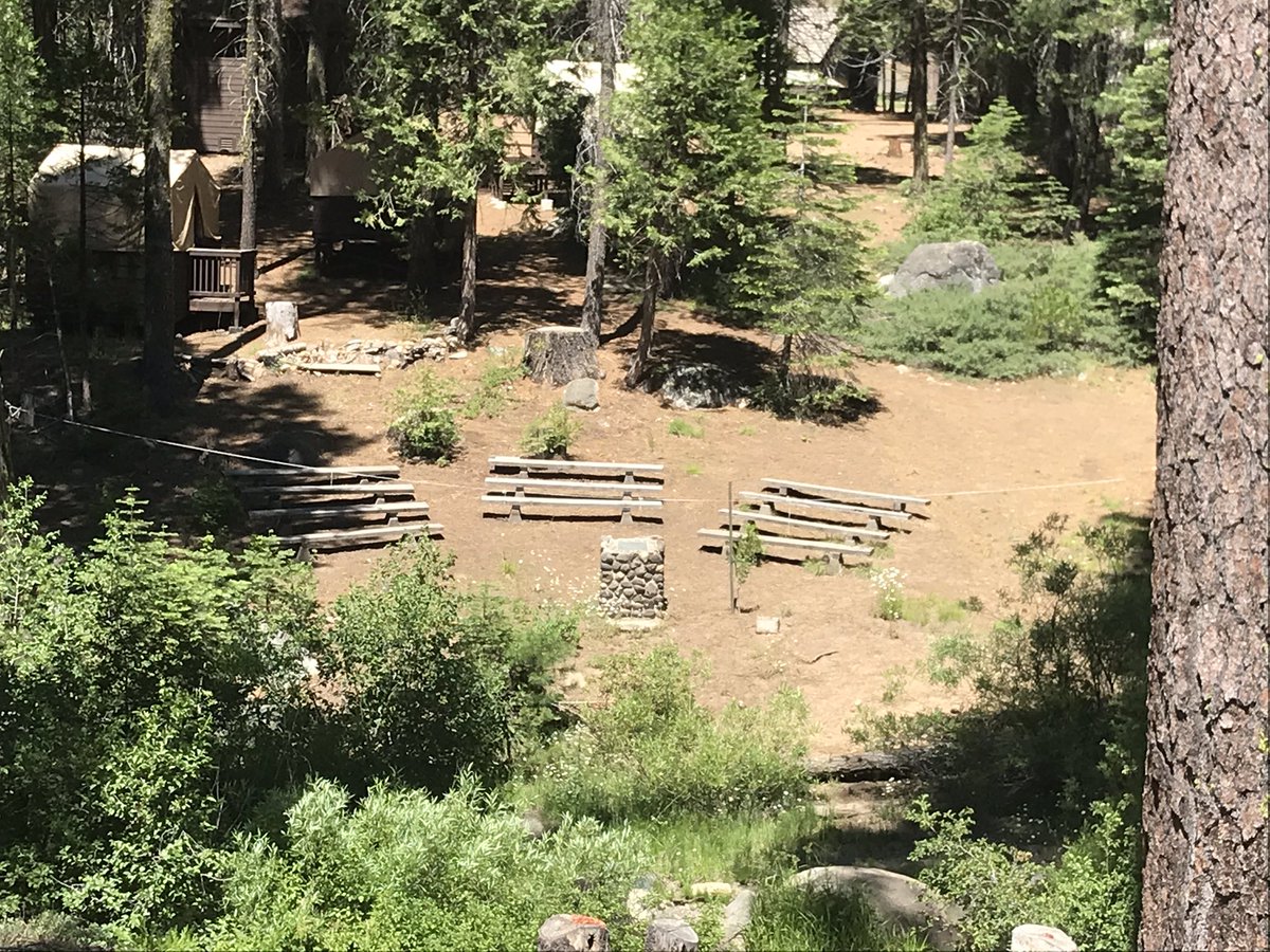 Lair of the Bear tweet media