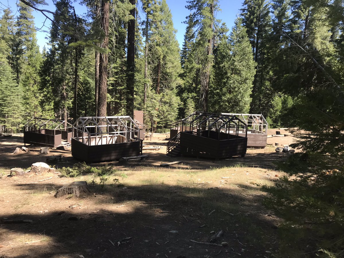 Lair of the Bear tweet media