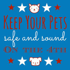 gsmc_pets's tweet photo. For those of you celebrating #independenceday2020: https://t.co/pTa6obYmCd