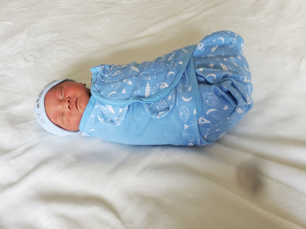 Grace Apple P. Holstrom tweet media