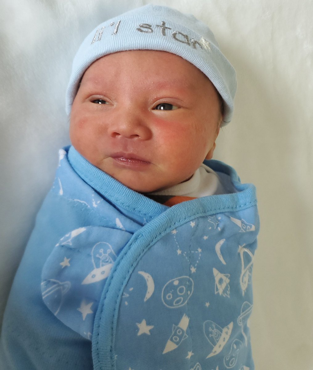 Grace Apple P. Holstrom tweet media