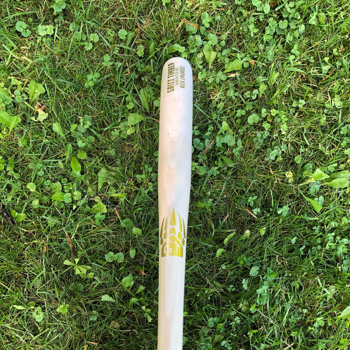 GrizzTimber's tweet photo. Coaches can swing it too! First of many fungos from Grizz Timber, this one goes to @NEmanuel2 #CoachesWhoRake https://t.co/sH7XgPl8Cp