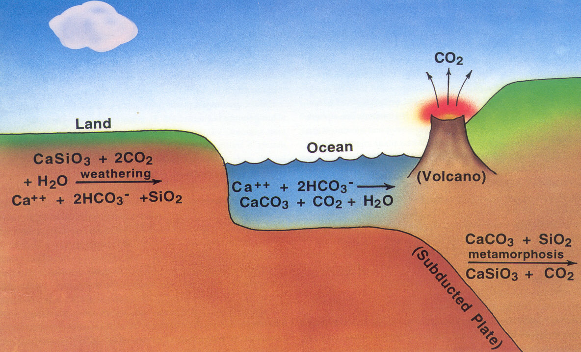 the amount of carbon dioxide in the atmosphere. With no plate tectonics around, the carbon would be unable to bind to the elements in the dirt and rocks, which eventually get buried far beneath the surface. Once they are beneath the surface, plate tectonics would cause... (9)