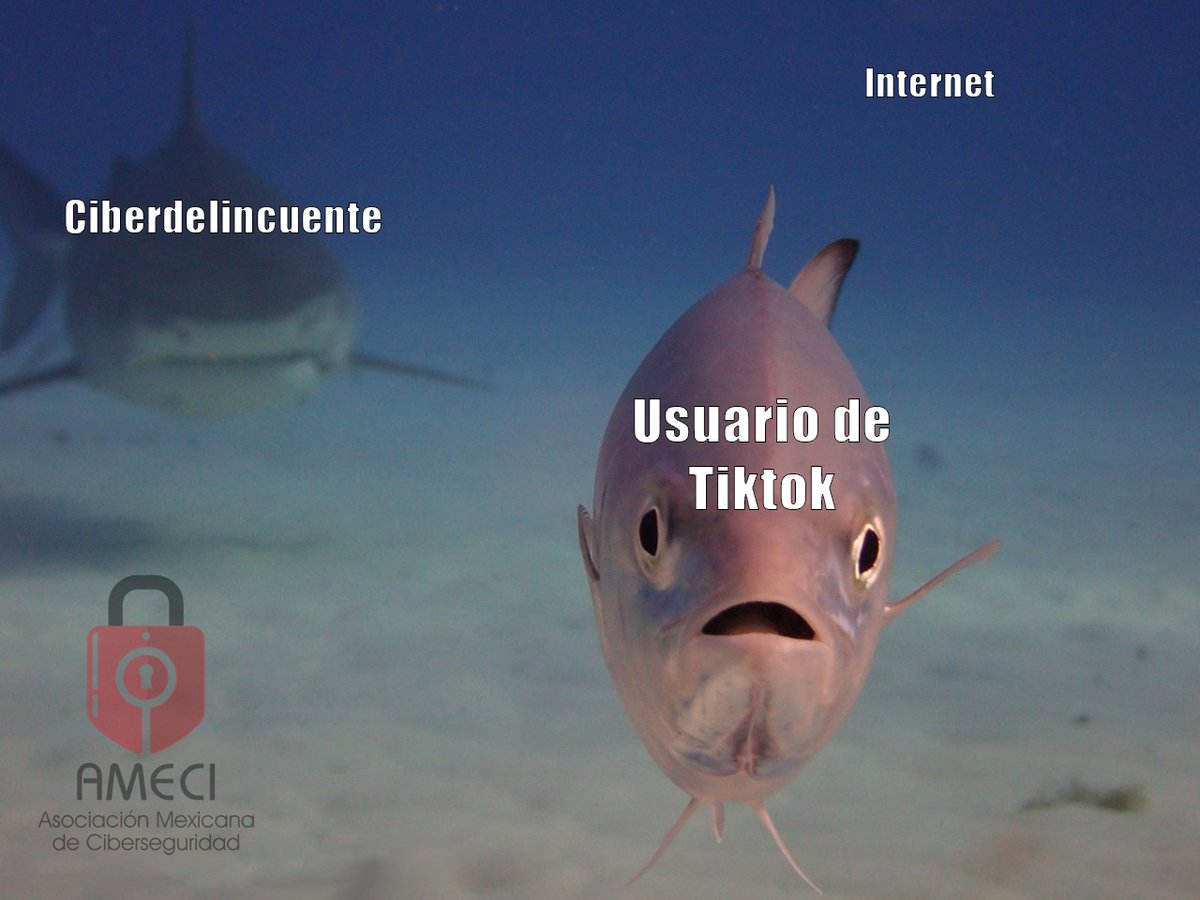 amecimx's tweet photo. No vas a saber ni de donde vino.
Síguenos en nuestras redes sociales:
Instagram: https://t.co/sBAPNLCodH
Linkedin: https://t.co/yiI6lmXE9T
Twitter: https://t.co/wMhwTi76cK
Facebook: https://t.co/ePt0LixtH4
#amecimx #meme #ciberhumor #humor https://t.co/aEjle8Txj3