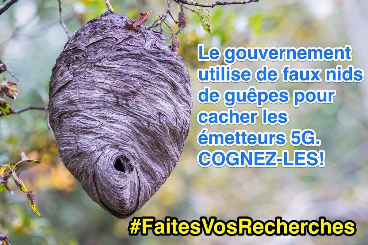 ComplotsFaciles's tweet photo. #NousSachons https://t.co/FfGtPVvDZE