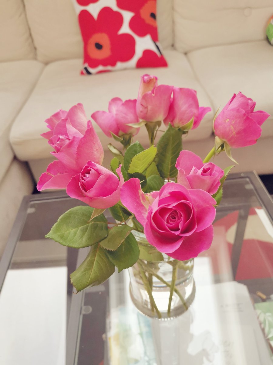 eurblarp's tweet photo. Roses are pink, my love. https://t.co/6dHIgEwRQP