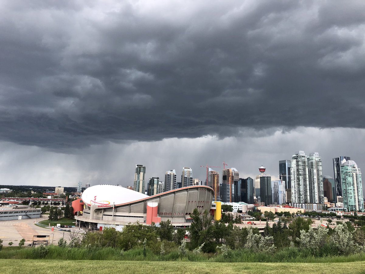 Logan Peters tweet media