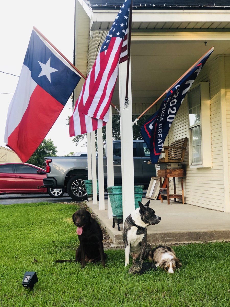 KaleyWilder's tweet photo. Let Freedom Ring ❤️🤍💙 https://t.co/suXNPWEDRp