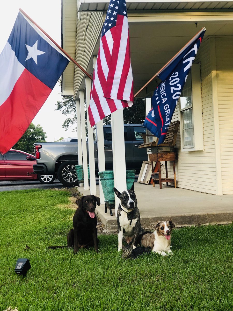 KaleyWilder's tweet photo. Let Freedom Ring ❤️🤍💙 https://t.co/suXNPWEDRp