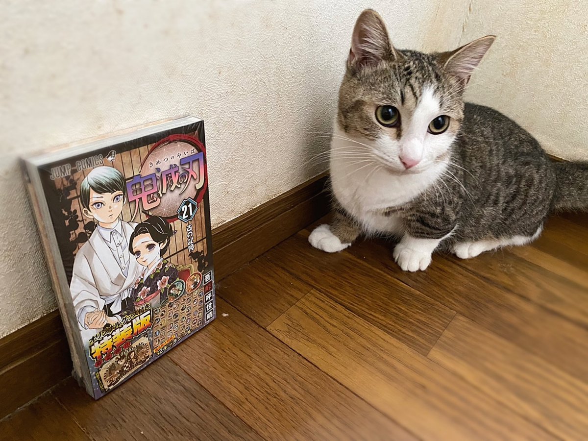 おはようございます♪
鬼滅21巻の表紙が愈史郎と珠世さんだったので…
我が家の愈史郎（ゆしろう）と写真撮ってみた（笑）
何故かあまり本に近づいてくれなかった…😅
お仕事行って来ます！

#猫 #仔猫 #猫のいる暮し #猫好きさんと繫がりたい #鬼滅の刃21巻