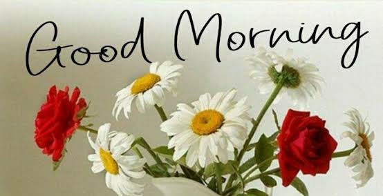 KMomGroup's tweet photo. Good morning Kisses &amp; Kissables!

Hope everyone is doing good.  Always count your blessings, value your friends and move on with your head held high and a smile for everyone.

May you have a blessed Sunday!♥️

@KissesDelavin | Kisses Delavin
#KissesDelavin 
#Kissables https://t.co/xyMdXDTXU2