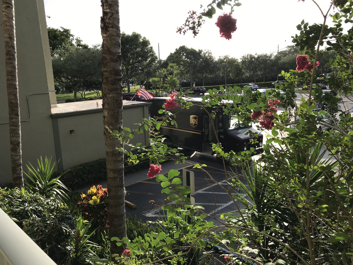 Celebrate Independence Day! #ups “Everything is better under the Sun #deliveryguy committed to bring sun on your face #4thofJuly2020