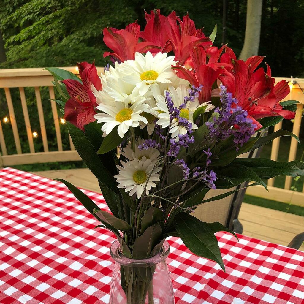 dottiefoley's tweet photo. Happy 4th of July. ❤️🤍💙 https://t.co/6jk3neSmHG https://t.co/vVm3B91Pea