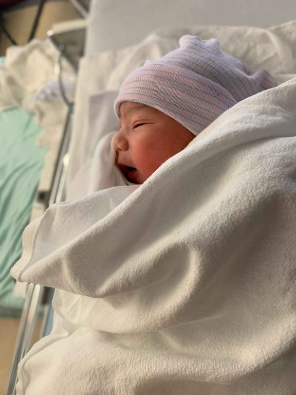 TheKatchoMan's tweet photo. Words usually come easy to me, but in light of what's happening these days, I've been staring at a blank tweet for 20 minutes now trying to figure out what to write.

So here.
Everyone. Meet Zelda. https://t.co/IWXbPGFj40