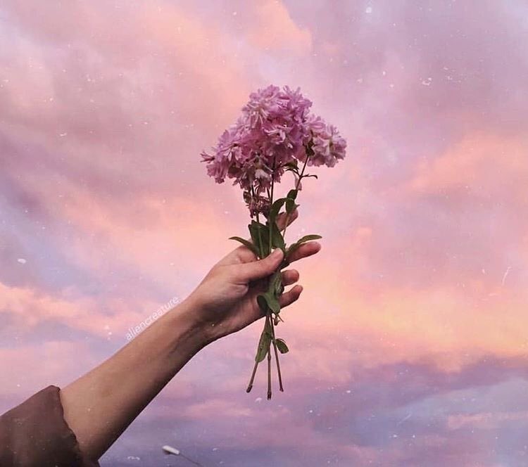 .
.
.
.
.
                 قد لا نصل إلى السحُب 
        لكِننا نستطيع الإستمتاعَ بـ النظر إليها
            كذلك الأشيآءَ الجمِيلة وَ تِلكَ هِي
                            آلقنآعة 
                       ✨💙🌿🌸