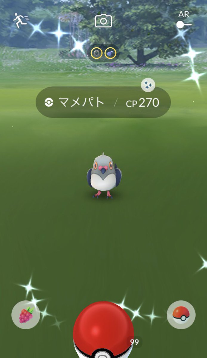 マメパト Twitter Search マメパト Twitter Search