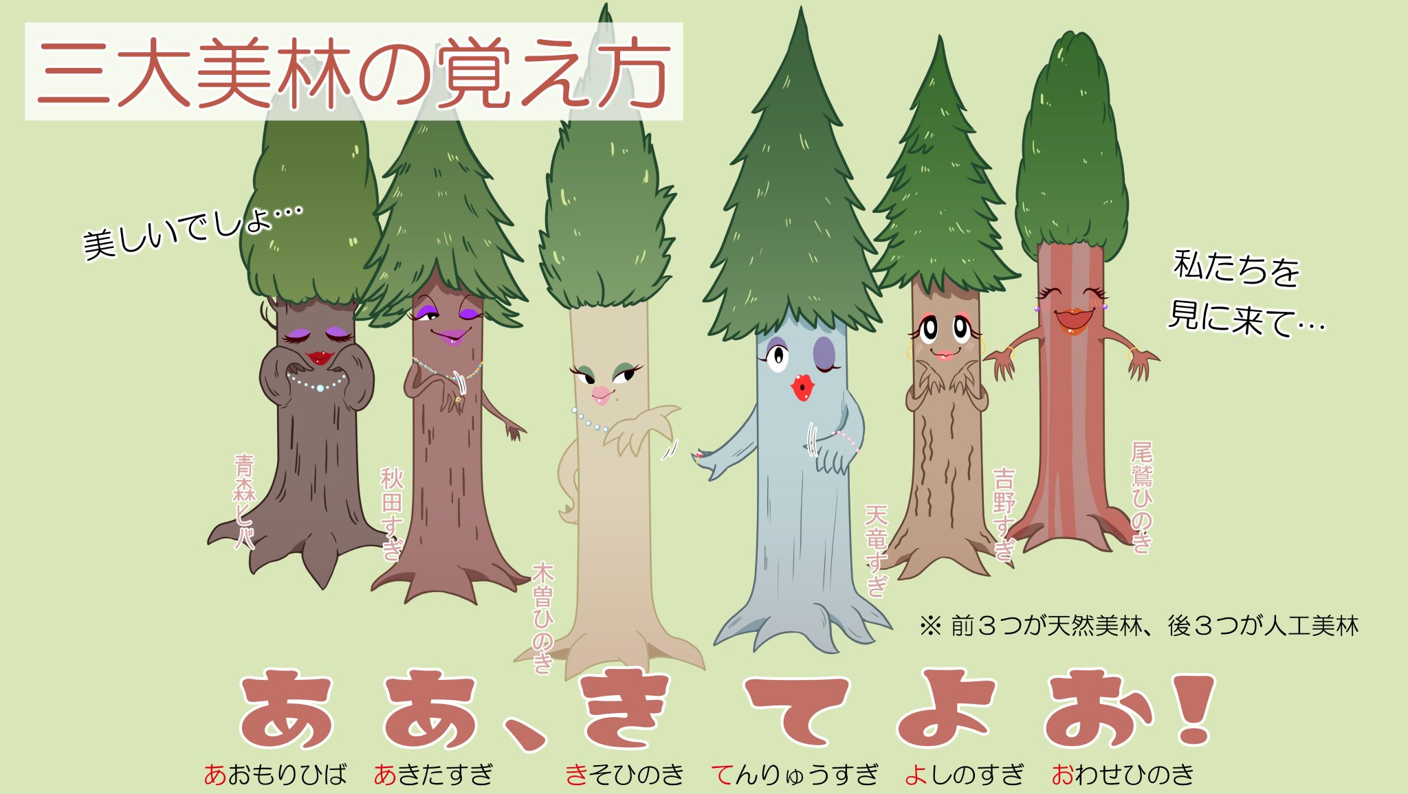 ごん太 家庭教師 なかなか覚えにくい三大美林の覚え方をイラストつきでご紹介します 前3つが天然三大美林 後3つが人工三大美林で 6つが北から順に並んでいます 中学受験 地理 暗記法 ごん太 家庭教師 なかなか覚えにくい三大美林の覚え方をイラストつきでご紹介します 前3つが天然三大美林 後3つが人工三大美林で 6つが北から順に並んでいます 中学受験 地理 暗記法