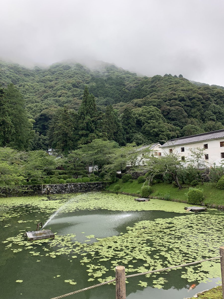 fieldtrainer's tweet photo. みなさん最近息抜き��てますか…？？
コロナの影響で家にいる時間が長くなり、人と話す機会や遊ぶ機会も減っていると思います。

特に1年生は学校の友達とロクに会えず不安を募らす日々を過ごしているかと思います。

たまに自然を見るといいですよ🙌
中の人がフォルダにあった緑を残しておきます笑 https://t.co/a8wo21u39a