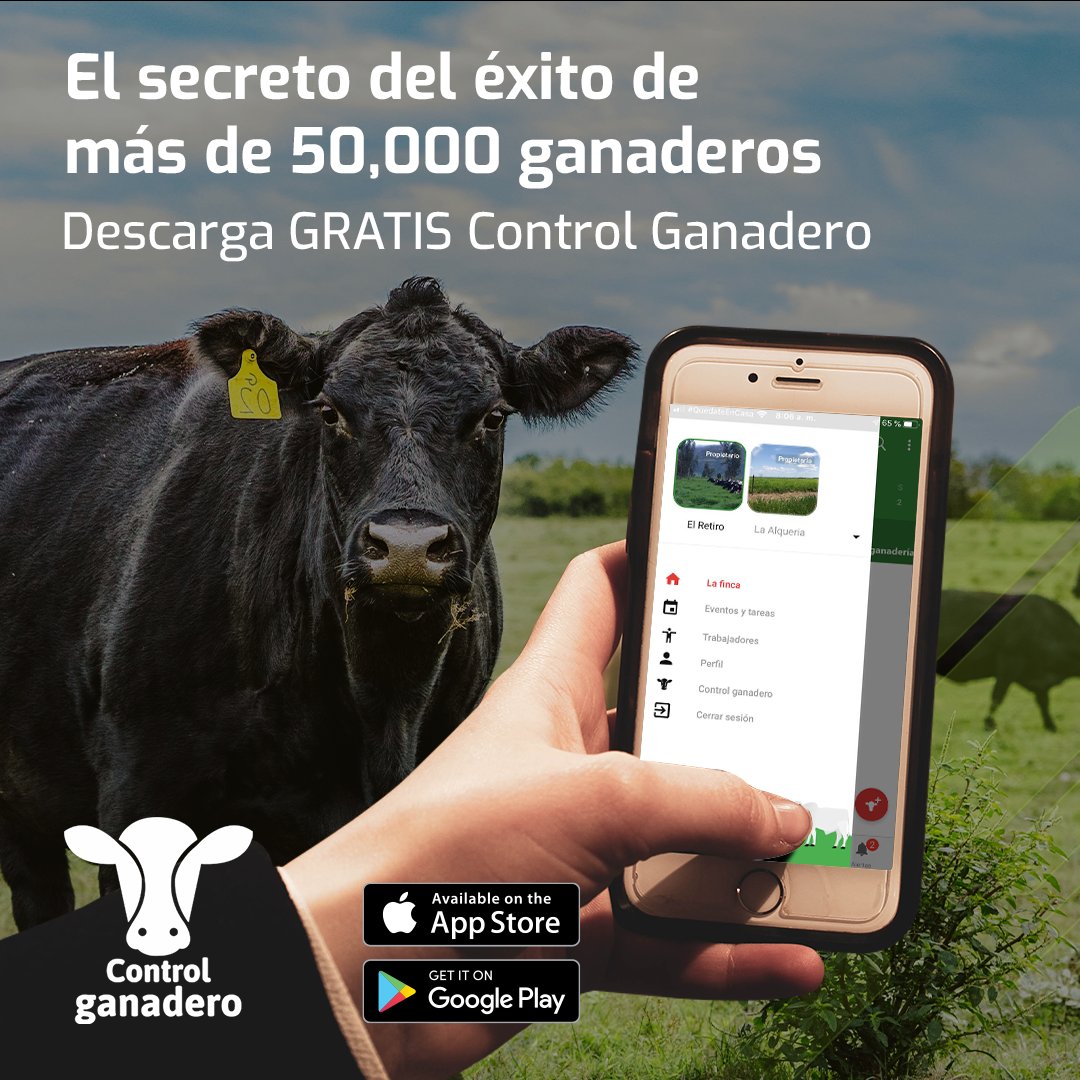 ControlGanadero's tweet photo. Un sistema comprobado a nivel mundial para administrar su ganadería y mejorar los resultados de su explotación ganadera.

¿Qué esperas para empezar?

Conoce todos los detalles en https://t.co/4p1STHQgYQ

#SoyGanaderoTecnificado https://t.co/srdOEFMGeP