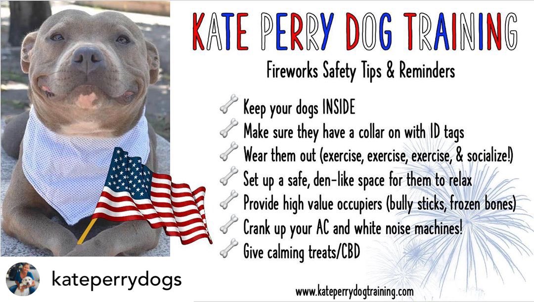 RockandRawhide's tweet photo. Great advice from @KatePerryDogs ! Celebrate safely! 🎉 #July4th https://t.co/ffO15itAwQ