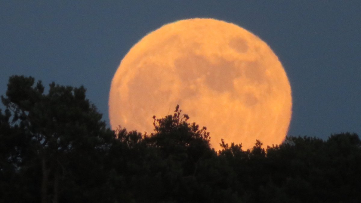 meteoduruelo's tweet photo. #FullMoon, #Lunallena, now. 99.9 %.
Sierra de Urbión, Northern Spain , #España
#Stormhour #ThePhotoHour https://t.co/2THRxKxY8e
