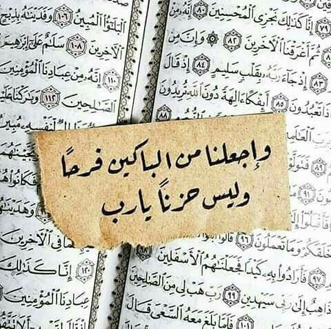 Wedad_alahmdi tweet picture