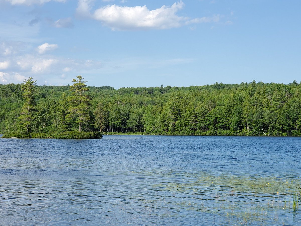 Picture perfect day at the lake.