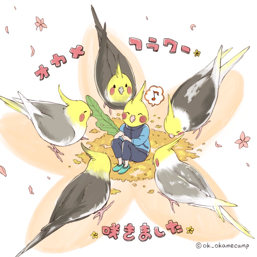 キャンプするオカメインコになりたい おはようございます 先日動画でお届けした オカメの花 のイラストを描きました なんだか良いことありそうなッそんな想いを詰め込んでオカメフラワーお届けします ステキな日曜日をお過ごしくださいね