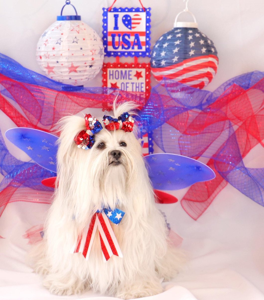 Happy #fourthofjuly friends 🇺🇸❤️ #foj