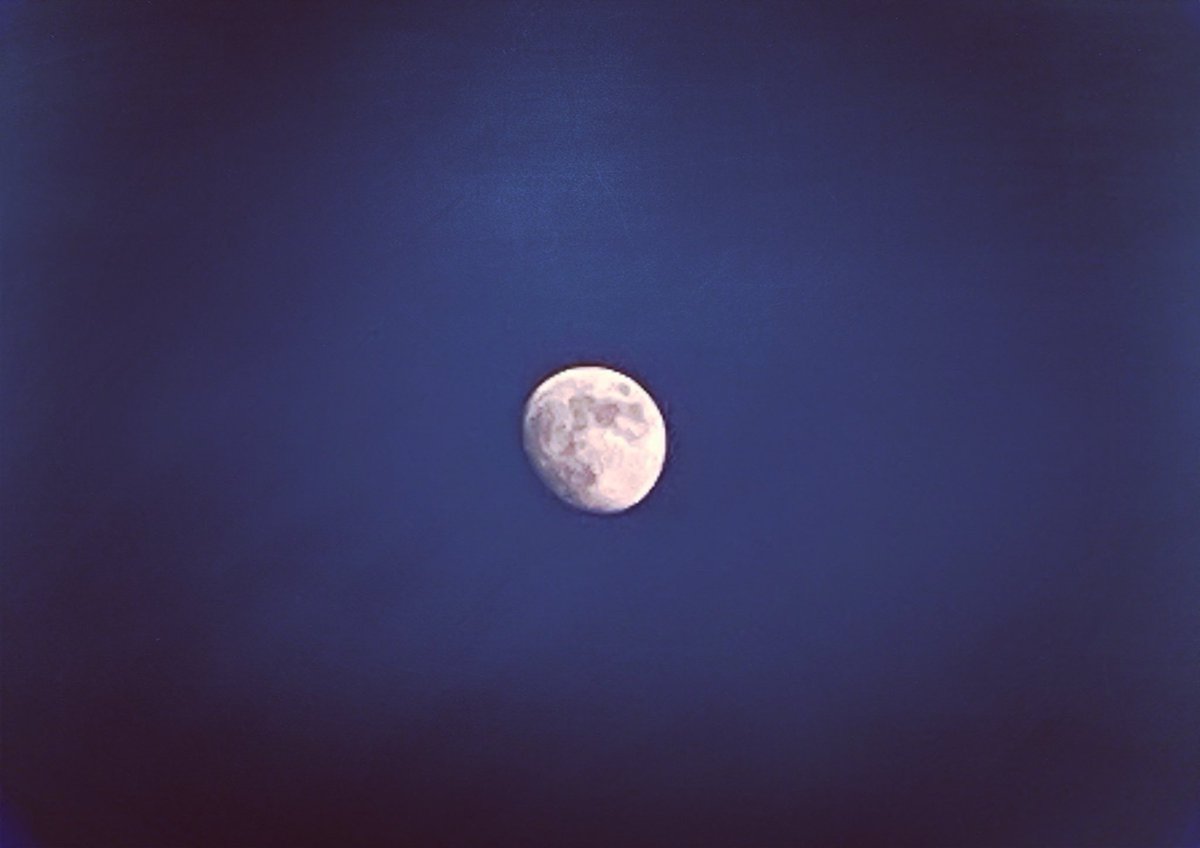 necohira2's tweet photo. #Bonjour / #Hello / #你好
#LifewithCosmos
#Summer #Flowers #moon #sky #Cleanair #Silentlife #staywithfamily❤👨👩👧👧
#staywithfriends❤️🙋♀️🙋♂️
#夏 #夜空 #きれいな空気 #月
#清潔おしゃれで笑顔が素敵な人とつながりたい
#月好きな人とつながりたい
#静謐
#iPhone11pro #iPhonephoto https://t.co/V8PfGvjylV