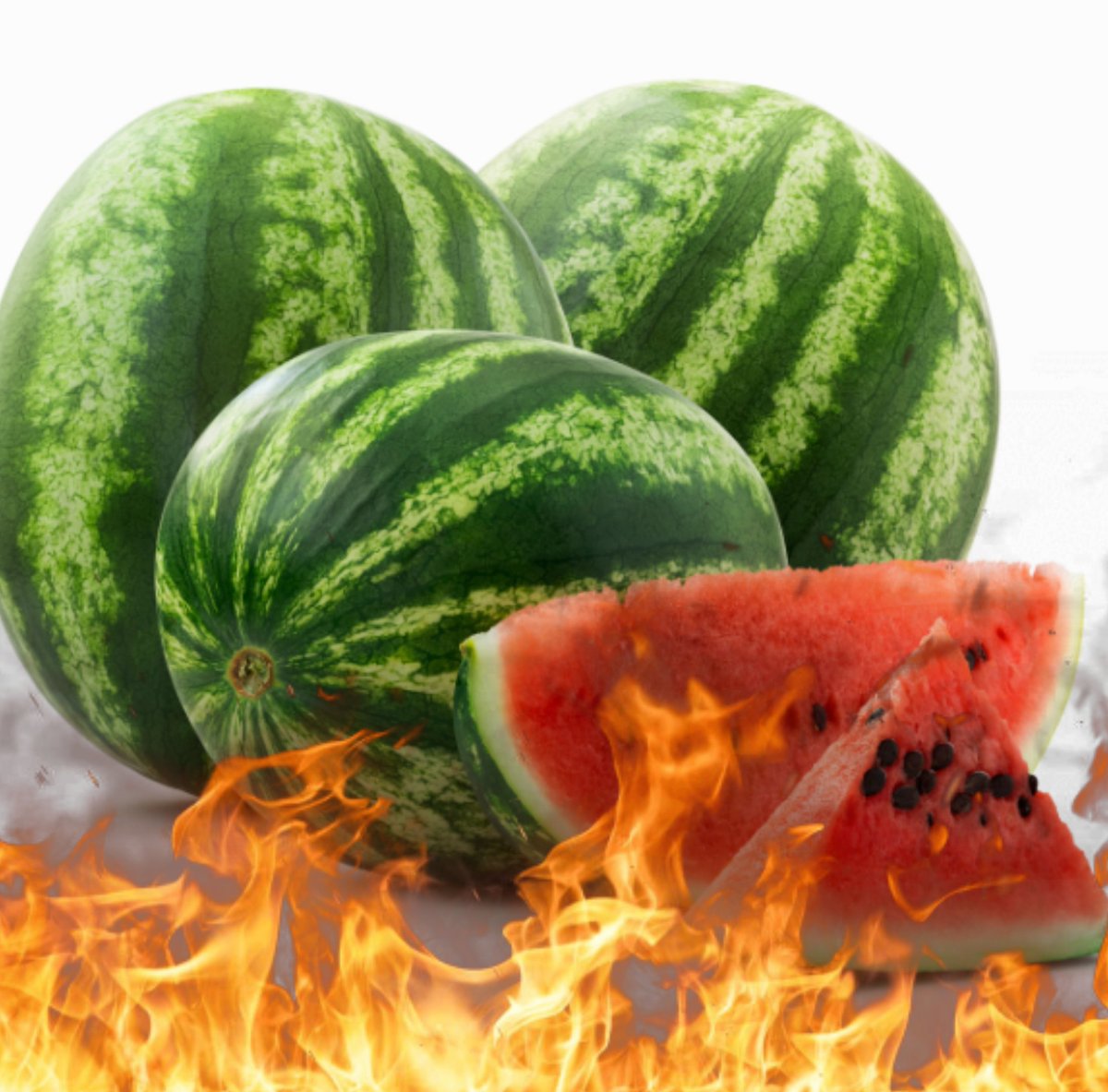 why watermelon is the worst fruit and you shouldn't support it ; a thread with pictures for visual learners