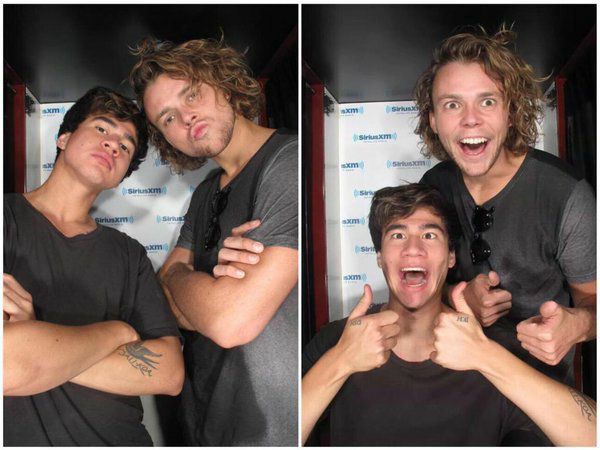 they're really stupid