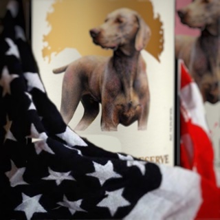 Dracaenawines's tweet photo. One flag, one land, one heart, one hand, one nation evermore! (and #wine doesn't hurt!) Happy #fourthofjuly! Did you know our Reserve #PlummerVineyard was named Best of Show at last year's CA #CabFranc wine competition? https://t.co/xSWwwIP9dF https://t.co/tN7W6qDxuX