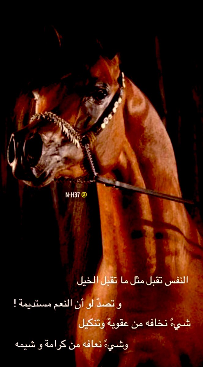 majd80117559's tweet photo. https://t.co/0Vhkq7tYZk
