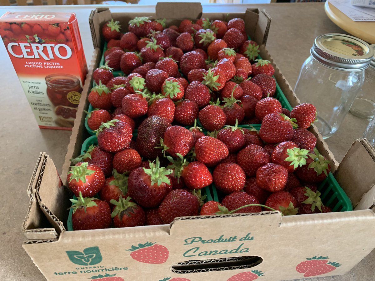 AndreaWD40's tweet photo. Love the strawberry season. So short , but so delicious! 🍓 #StrawberryJam #StrawberryRhubarbJam #StrawberryScones #SummerJoy https://t.co/d0BoePqq1u
