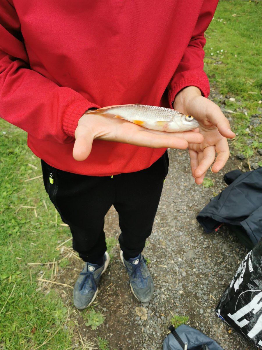 IDytham tweet picture