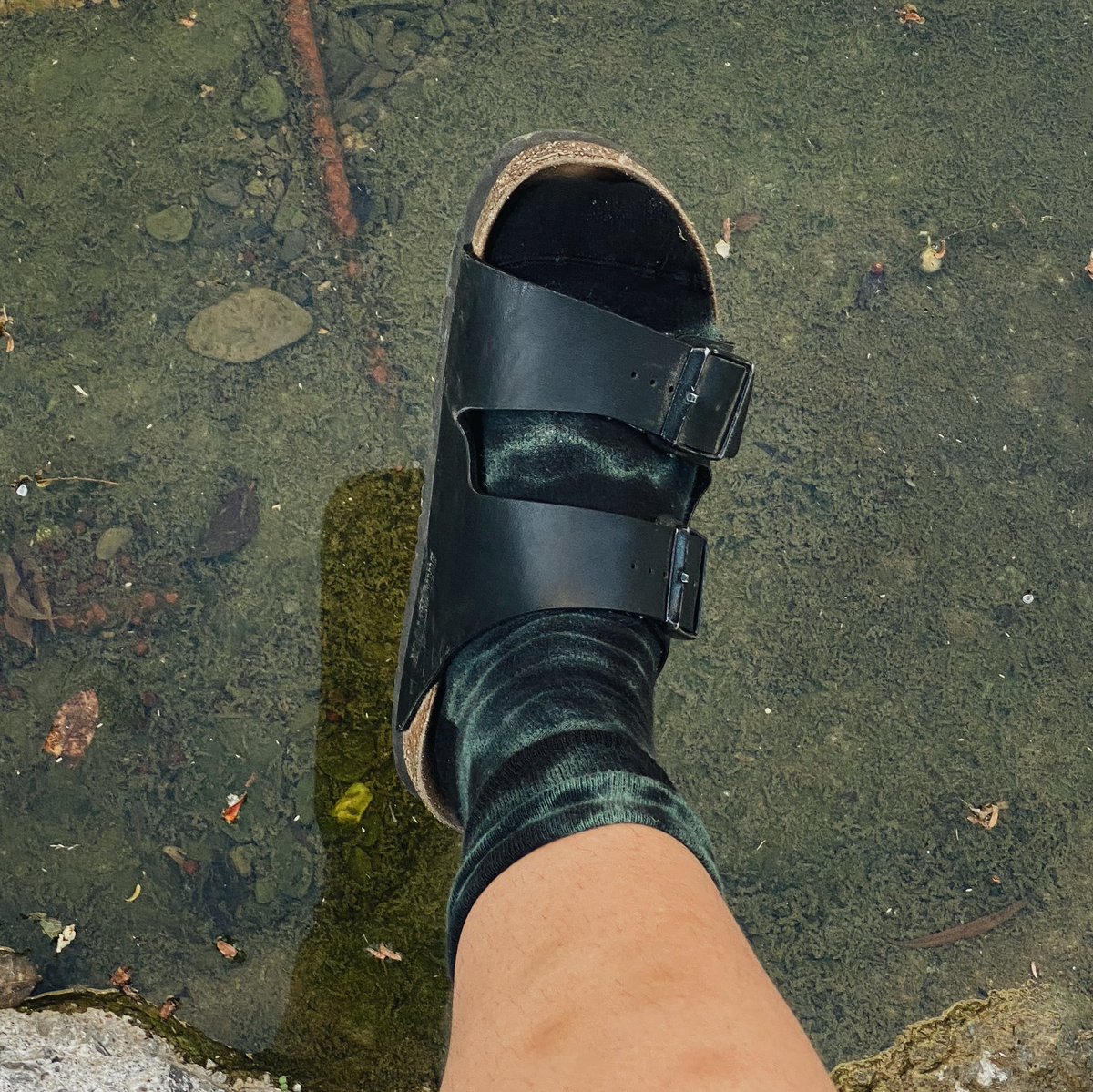 _KarlaVelazquez's tweet image. 🥬🔍