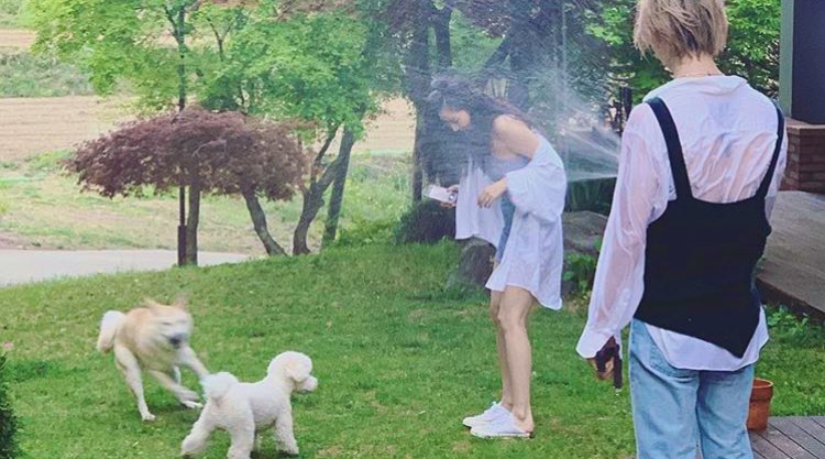 softforhyudawn's tweet photo. dont worry, dawn got her back https://t.co/v9kgl42fAY
