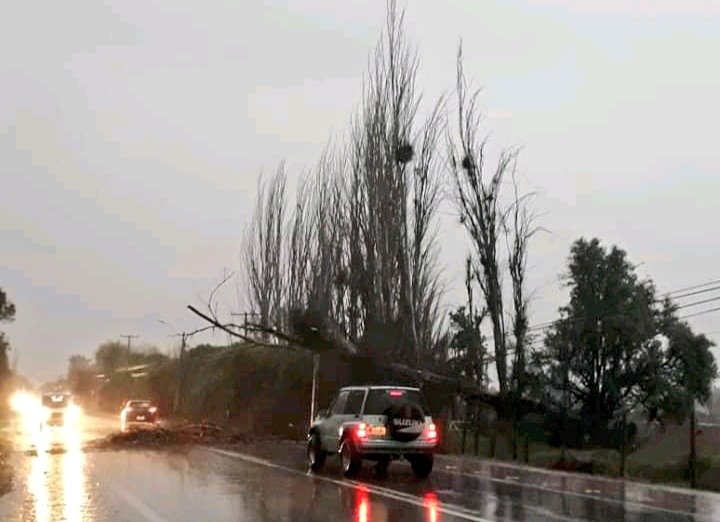 DPPMelipilla's tweet photo. @GMelipilla informa:
Corte de suministro eléctrico afecta a sectores de #SantaJulia, #ElTrigal, #Rumay, #SanJosé, #VillaAlegre, Camino Valparaíso y sectores aledaños.
Brigadas de #CGE trabajan para recuperar sistema lo antes posible. https://t.co/nsFxJstYbH