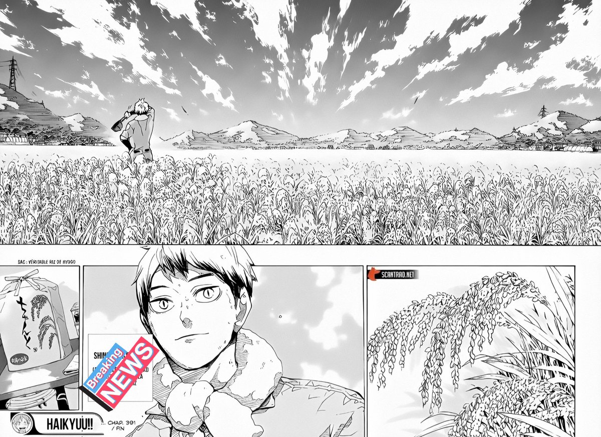 Guuenne's tweet photo. Bon comme c'est aussi l'anniversaire de Shinsuke Kita... Voici ma colo de la dernière planche du chapitre 391 ! https://t.co/7yxlTfRXTW