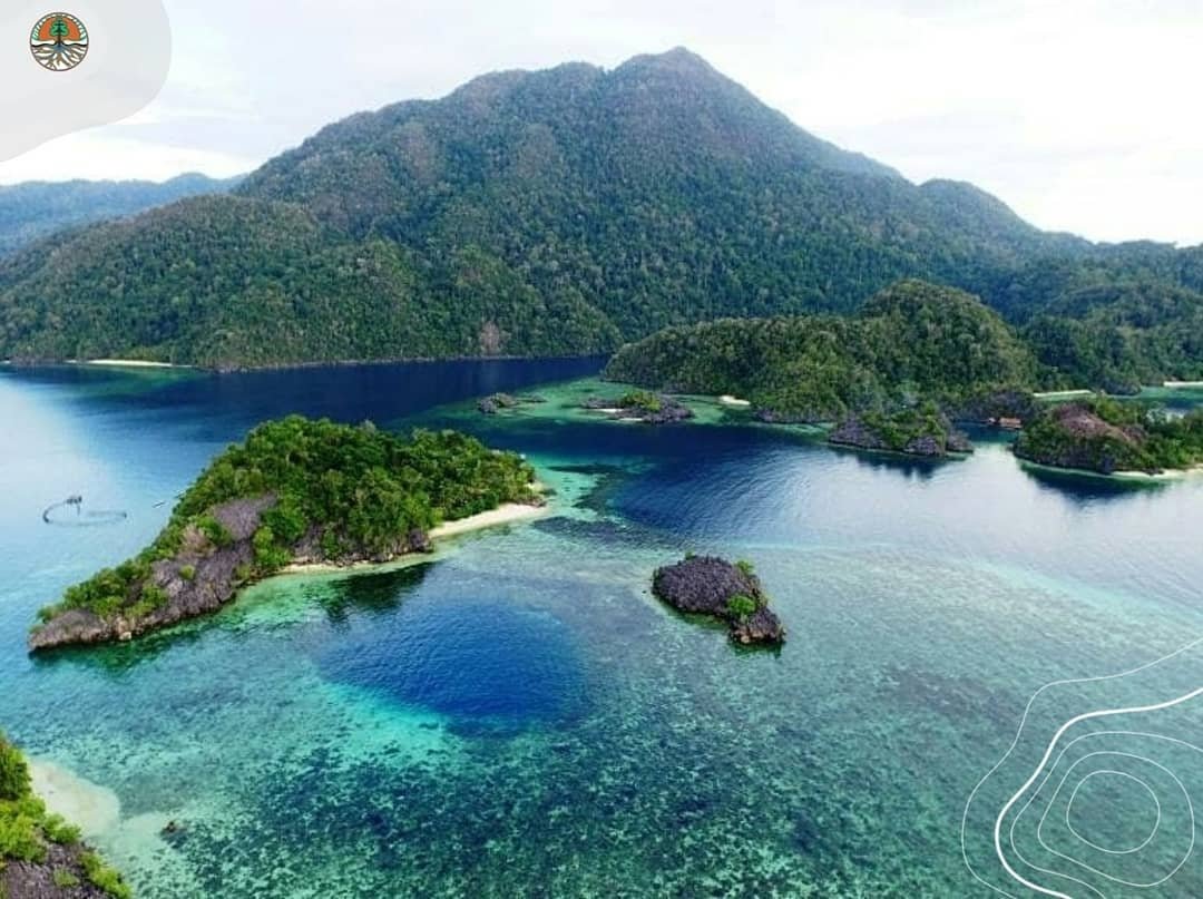RadioElshinta's tweet photo. @KementerianLHK Pulau #Labengki terdiri dari Pulau Labengki besar & Pulau Labengki kecil, dikelilingi pulau2 kecil nan indah dg struktur batuan carst yg di tumbuhi ribuan anggrek liar yg sgt menawan jg memiliki puluhan pantai dg pasir putih tersebar disetiap sudut pulau. https://t.co/v7P8UnewFR